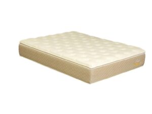 Colchón 2 Plazas Línea Pasión Espuma D45 c/Pillow Soft D30